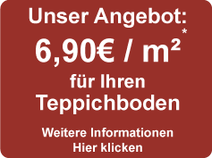 teppichbodenreinigung